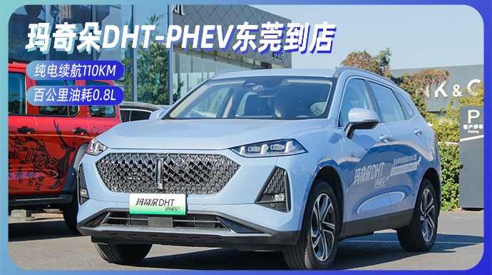 纯电续航110km 油耗0.8l,wey玛奇朵phev到店实拍